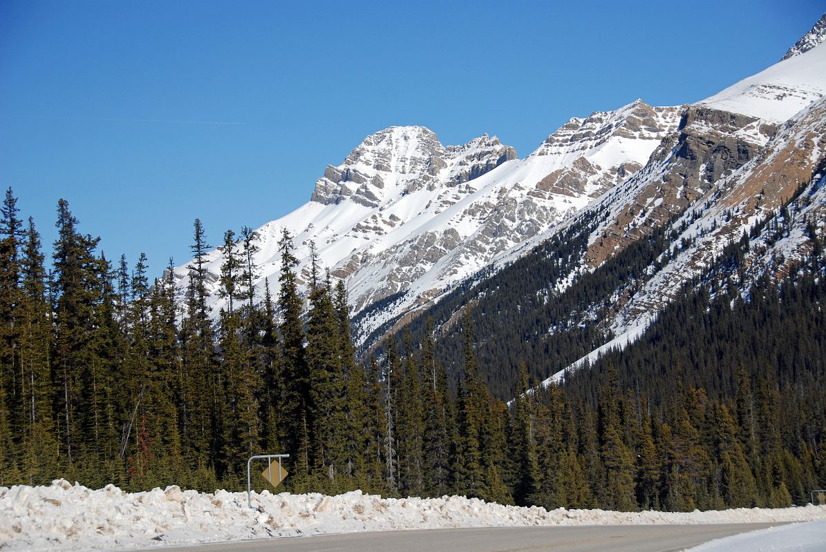 55 Mount Weed From Icefields Parkway